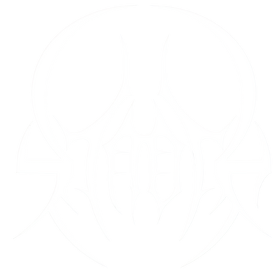 STAOTA INTERVIEW